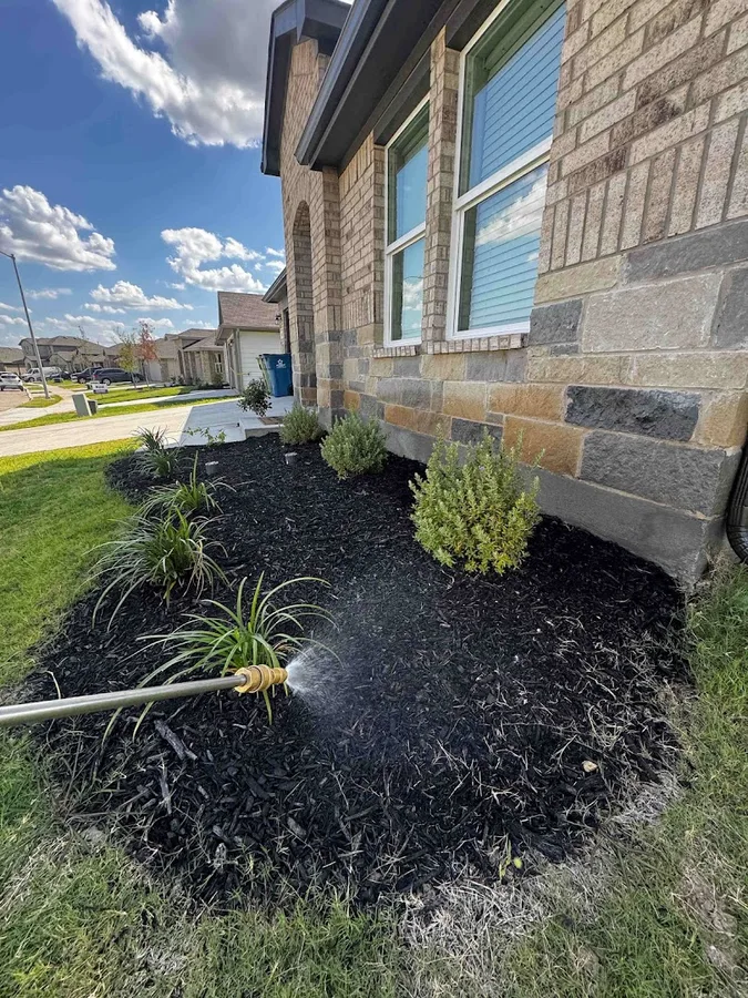 J-Zap Pest Control — pest control in Justin, DENTON County, TX