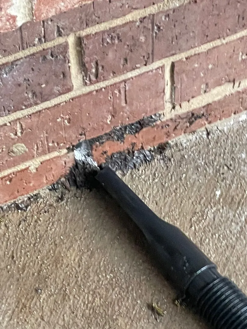 Alliance Pest Solutions in Fort Worth, TX — business photo 6