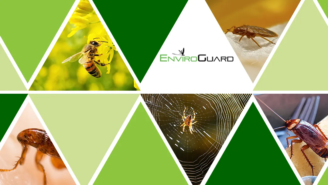 EnviroGuard Pest Control in Corpus Christi, TX — business photo 5
