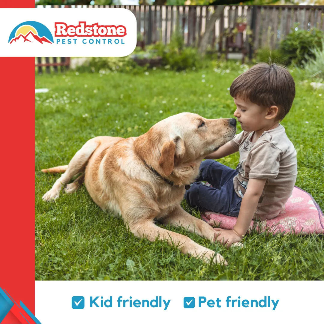 Redstone Pest Control in McKinney, TX — business photo 3