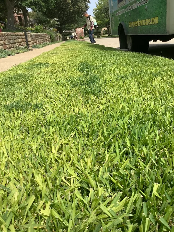 Sta-Green Lawn Care Mosquito & Sprinkler Repair in Rowlett, TX — business photo 3