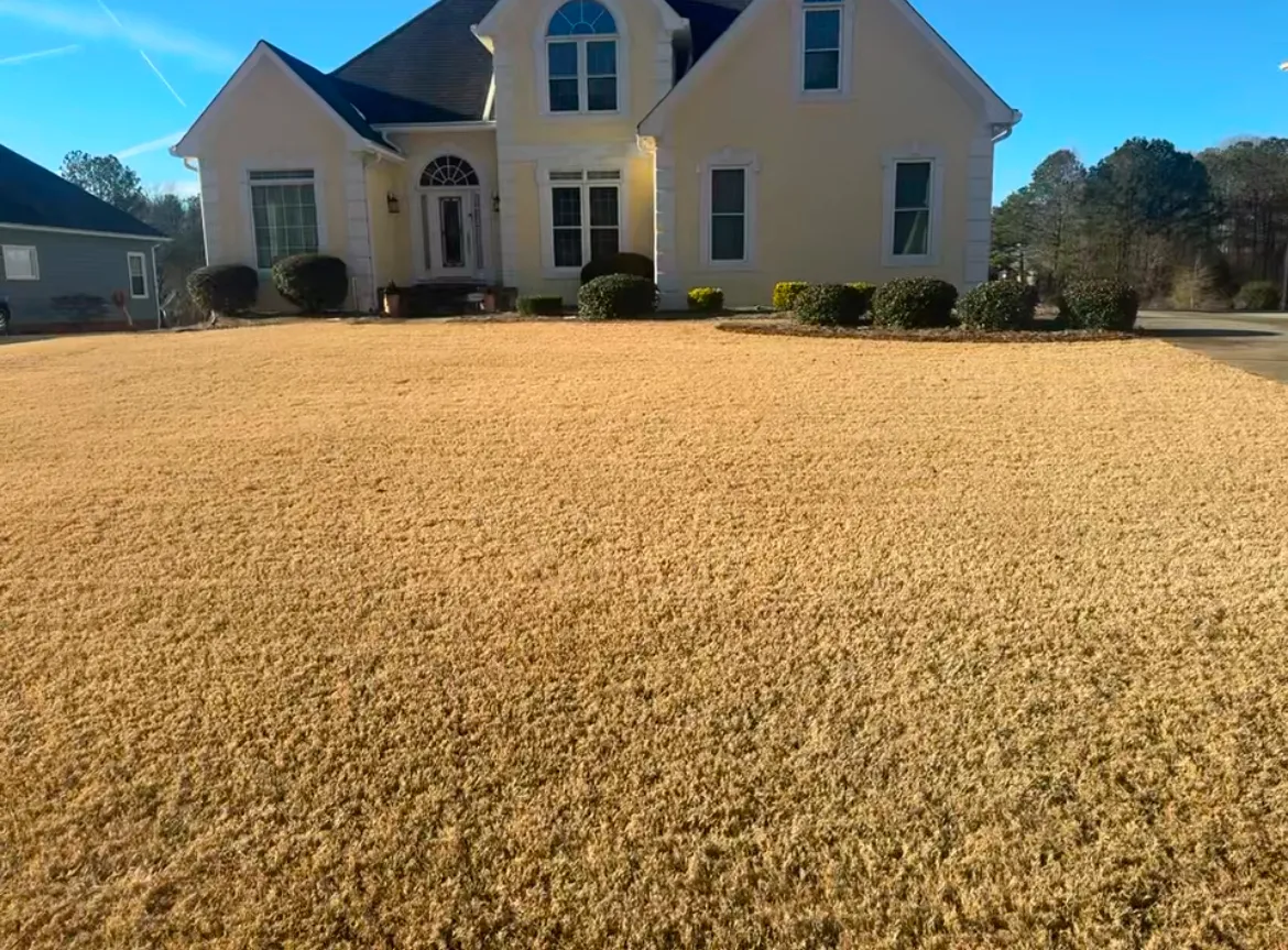 Top Turf Lawn Care and Pest Management in McKinney, TX — business photo 5