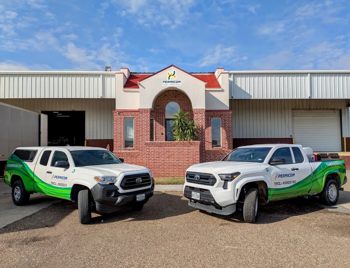 Permicom Pest Control — pest control in Laredo, WEBB County, TX