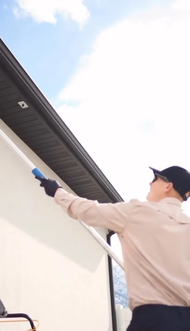 BRD Pest Solutions — pest control in Denton, DENTON County, TX