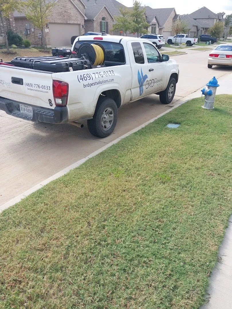 BRD Pest Solutions in Denton, TX — business photo 6