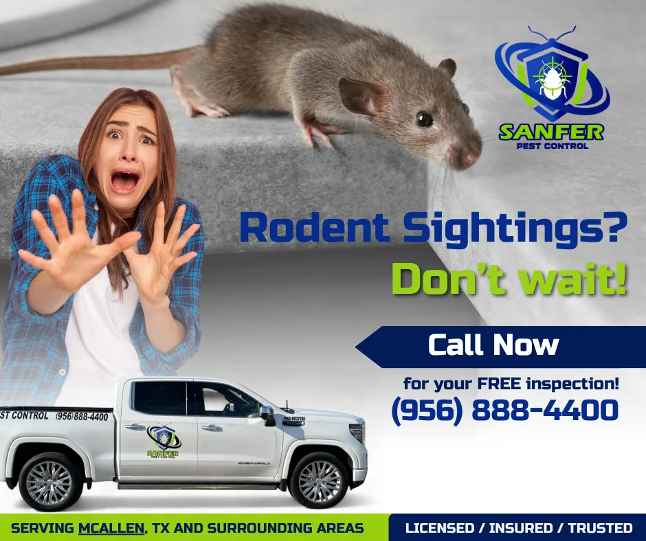 Sanfer Pest Control in McAllen, TX — business photo 5