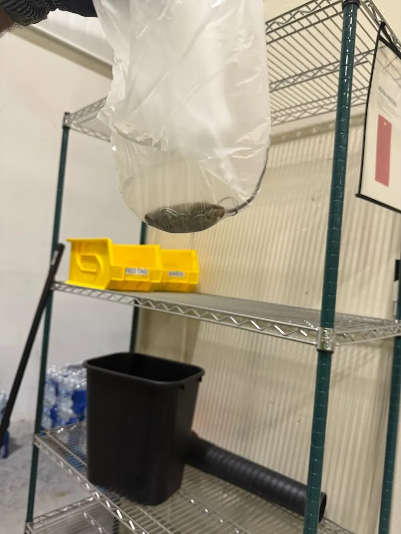 Holder's Pest Solutions in Houston, TX — business photo 5