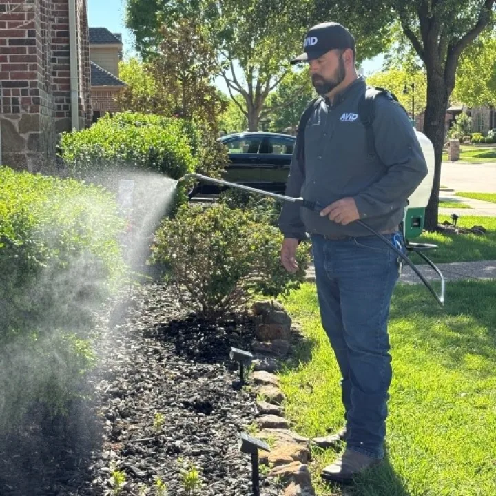 Avid Pest Solutions LLC — pest control in McKinney, COLLIN County, TX