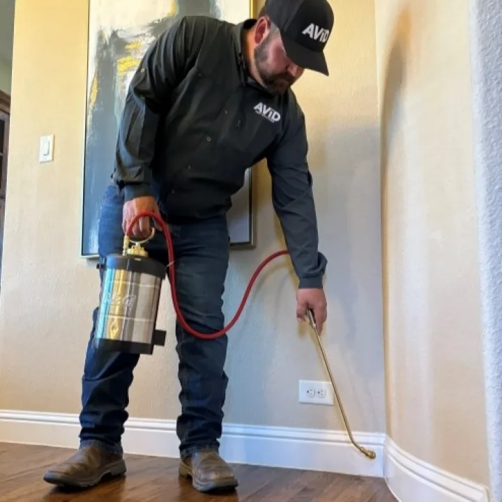 Avid Pest Solutions LLC in McKinney, TX — business photo 2