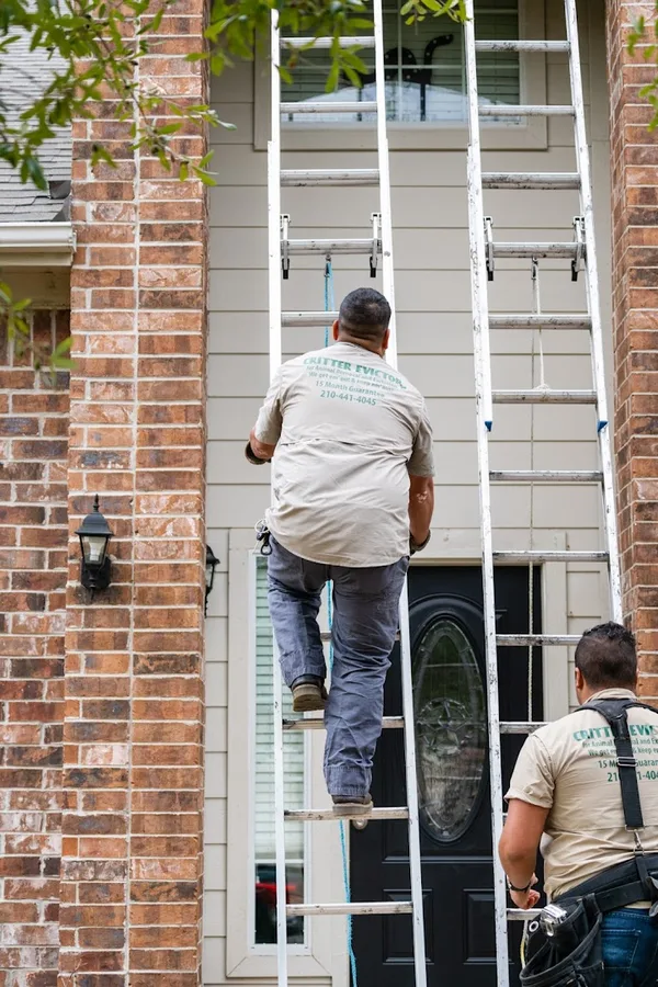 Critter Evictor in San Antonio, TX — business photo 5