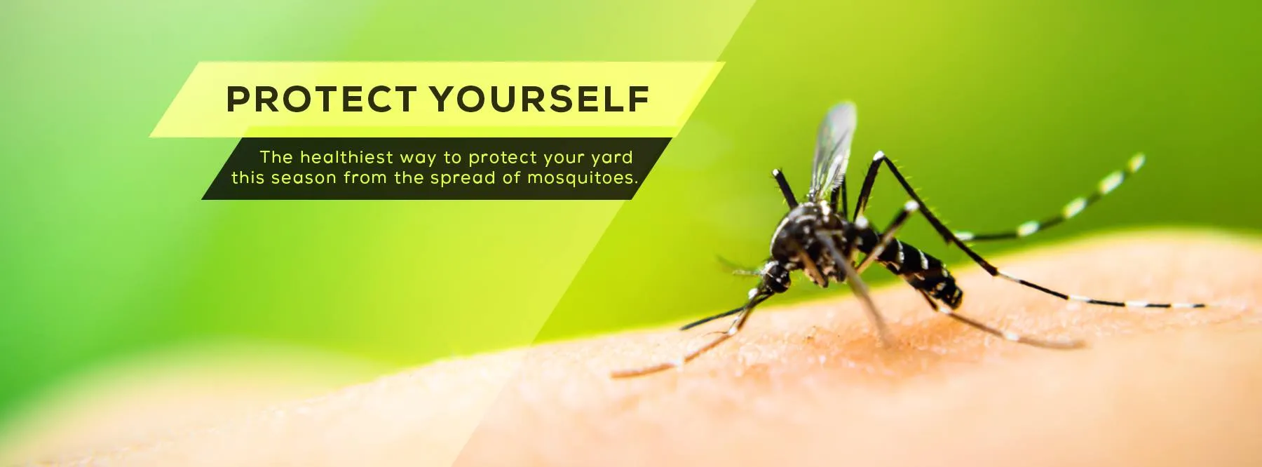 Barefoot Mosquito & Pest Control - San Antonio TX — pest control in San Antonio, BEXAR County, TX