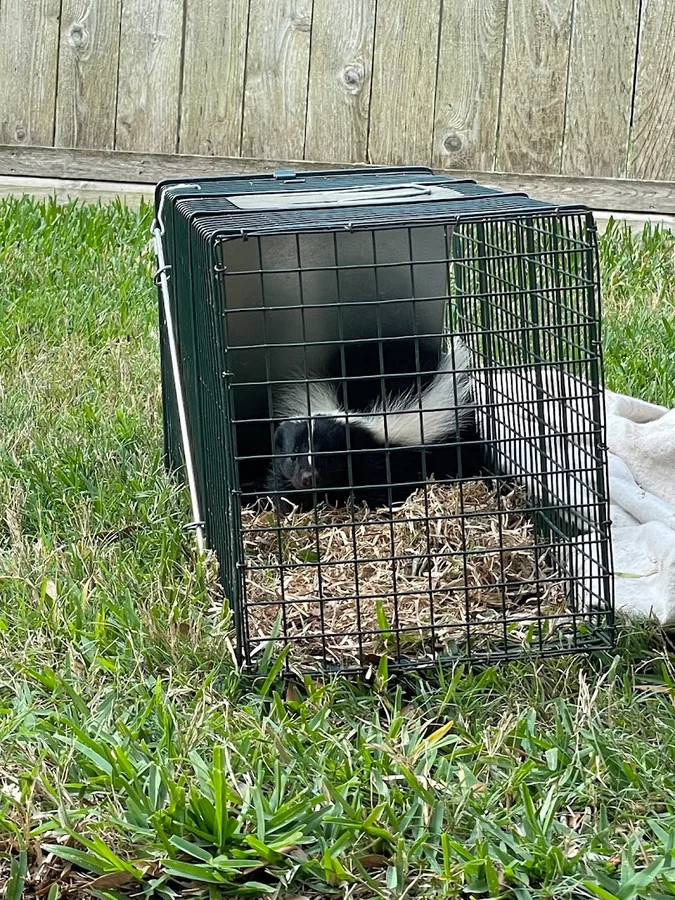 Fresh Fields Pest Control in Rosenberg, TX — business photo 4