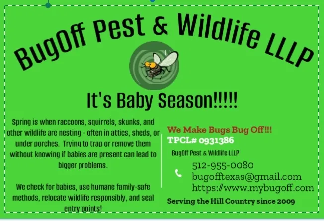 Bugoff Pest & Wildlife LLLP in Burnet, TX — business photo 3