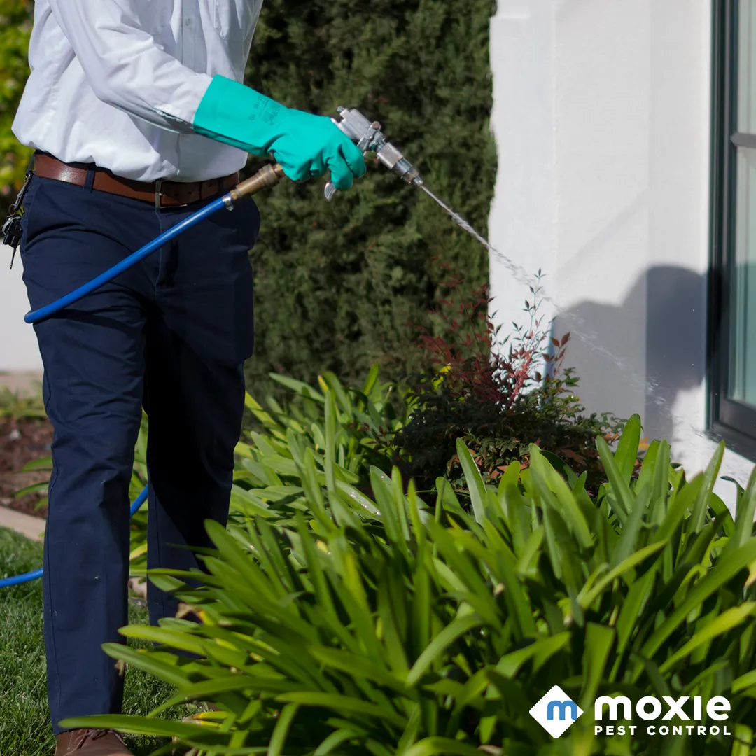 Moxie Pest Control in Houston, TX — business photo 3