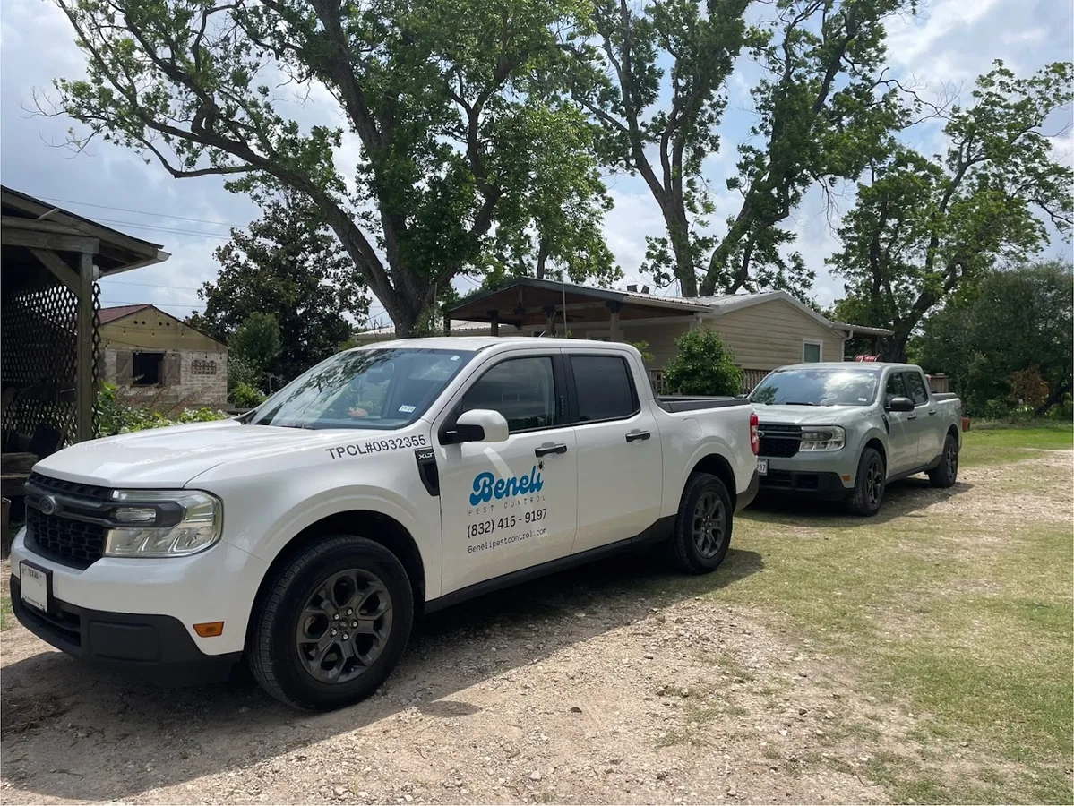 Beneli Pest Control, LLC — pest control in Houston, HARRIS County, TX