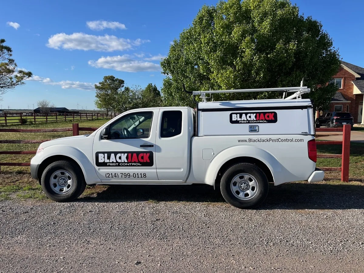 BlackJack Pest Control — pest control in Dallas, DALLAS County, TX