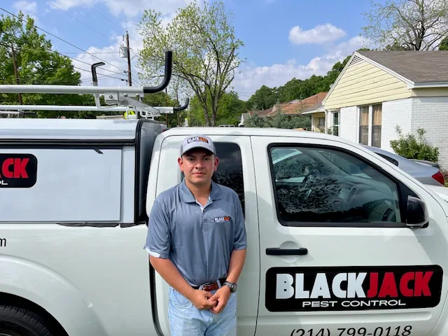 BlackJack Pest Control in Dallas, TX — business photo 2