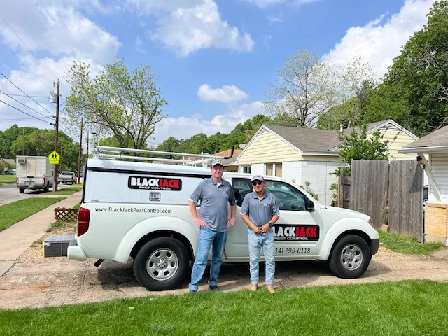 BlackJack Pest Control in Dallas, TX — business photo 4