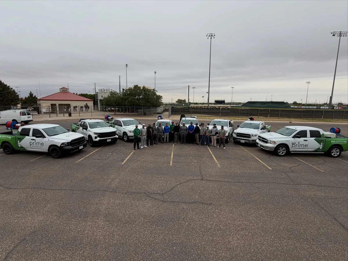 Prime Pest and Lawn - Lubbock — pest control in Lubbock, LUBBOCK County, TX