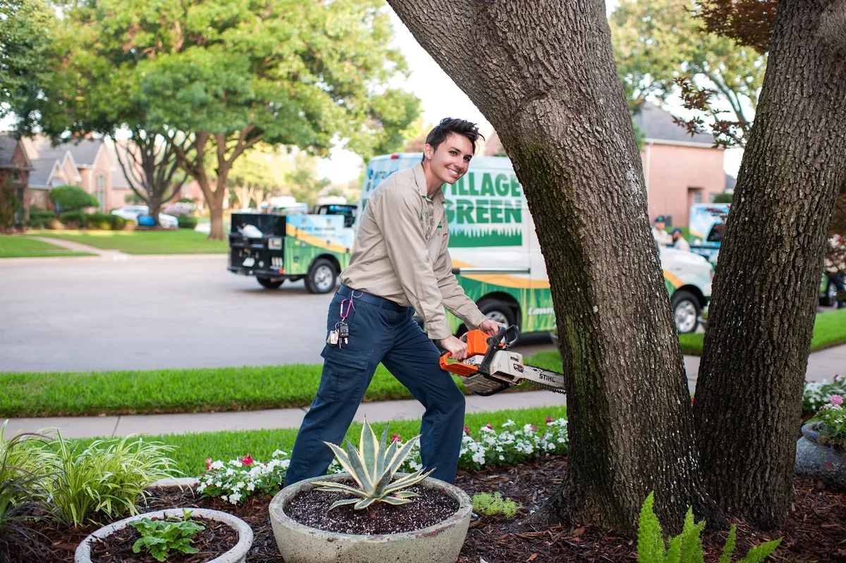 Village Green Lawn and Pest in Plano, TX — business photo 3