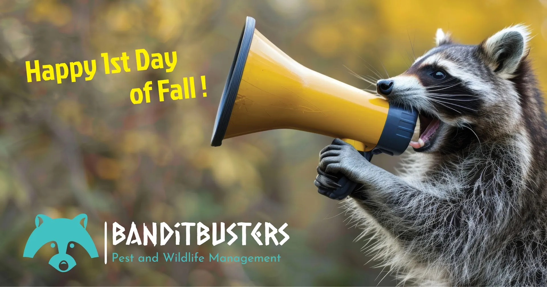 Bandit Busters Pest & Wildlife Management — pest control in Greenville, HUNT County, TX