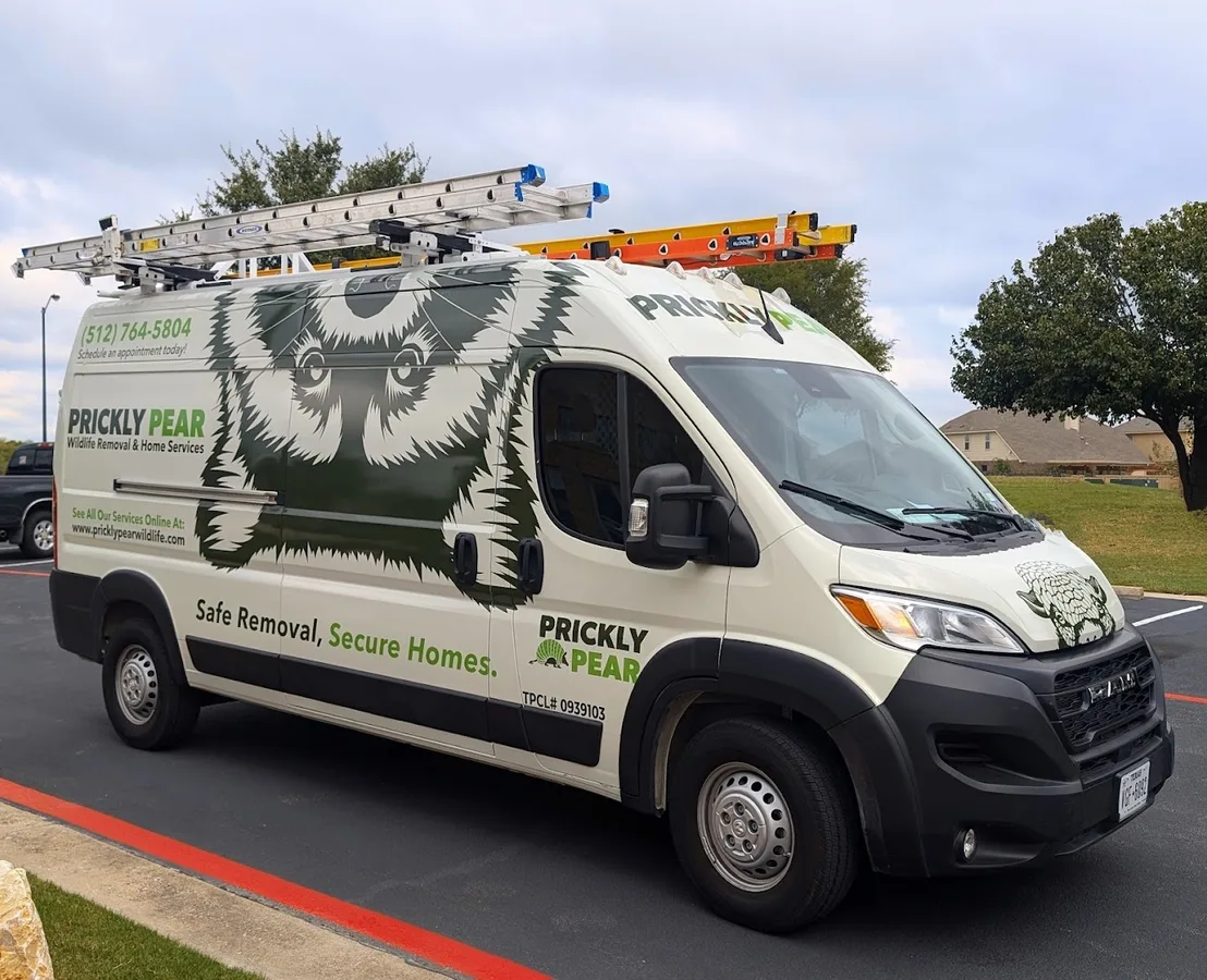 Prickly Pear Wildlife Removal and Home Services in Austin, TX — business photo 4
