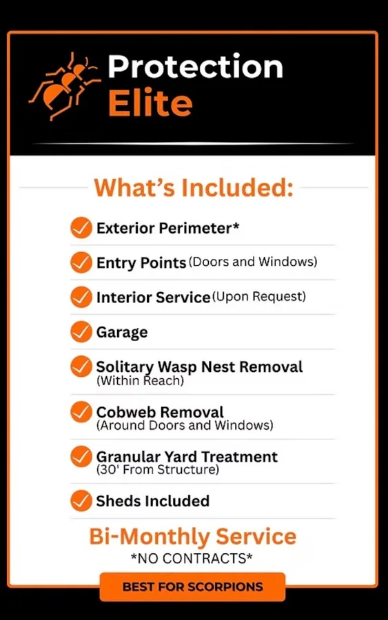 Authority Pest Protection LLC in Bulverde, TX — business photo 6