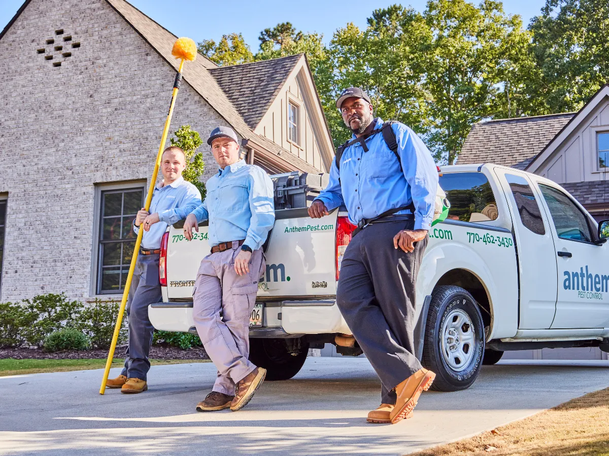 Aruza Pest Control in Houston, TX — business photo 2