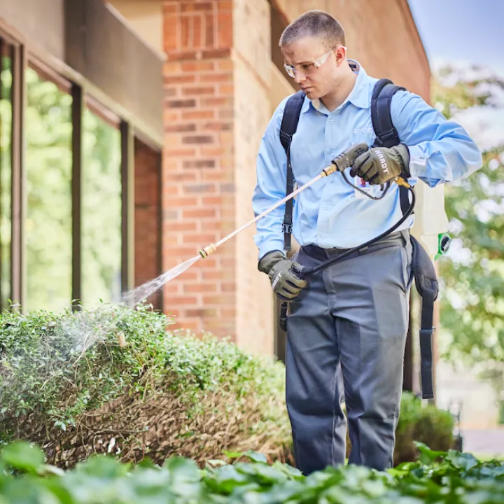 Aruza Pest Control in Houston, TX — business photo 5