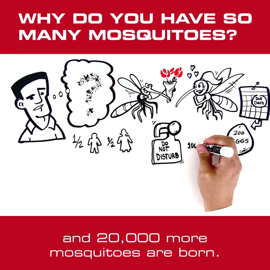 Mosquito Shield of North Dallas in Dallas, TX — business photo 2