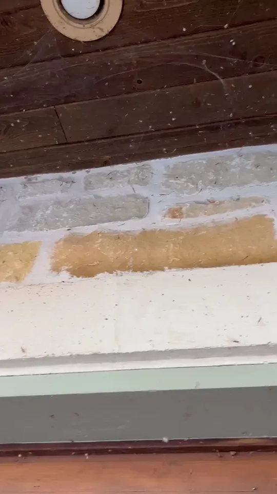 America's Best Pest Control — pest control in Burnet, BURNET County, TX