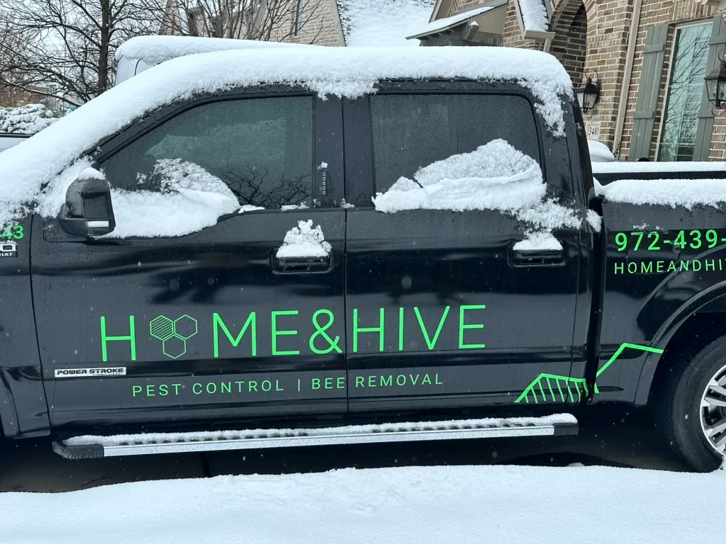 Home and Hive Pest Control in McKinney, TX — business photo 5