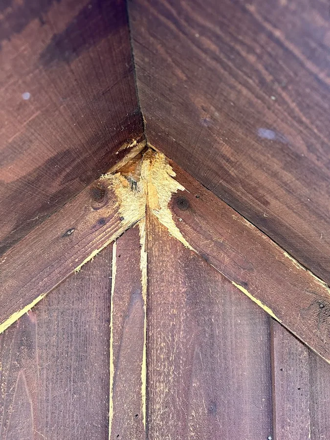 Home and Hive Pest Control in McKinney, TX — business photo 6