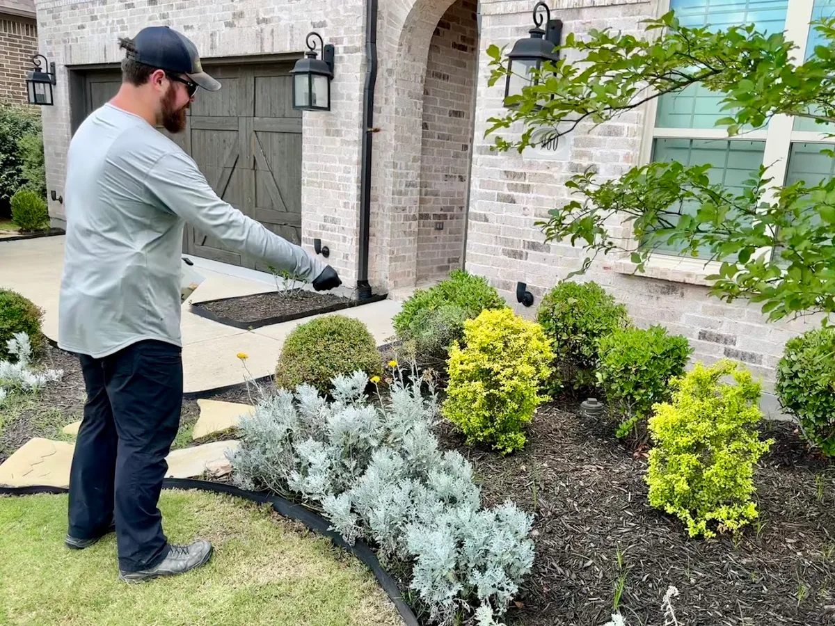 Brite Pest in Prosper, TX — business photo 5