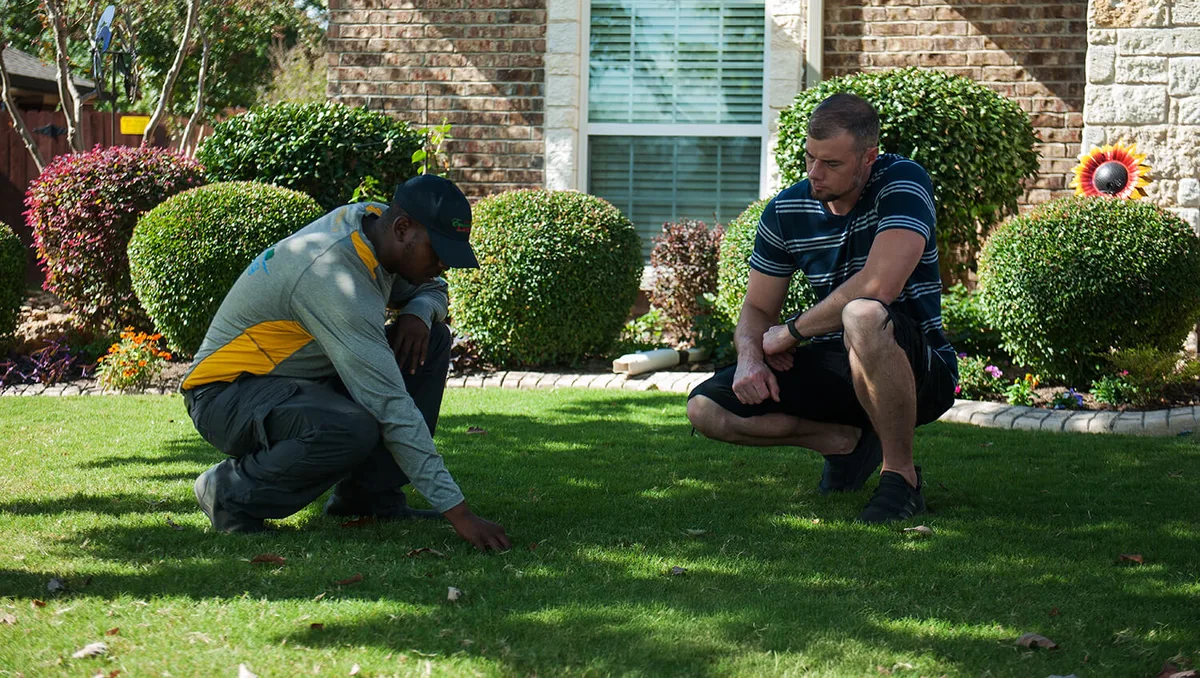 Emerald Lawns — pest control in Euless, TARRANT County, TX