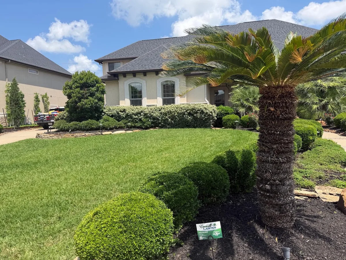 Emerald Lawns in Euless, TX — business photo 3