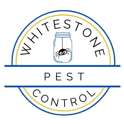 Whitestone Pest Control in Austin, TX — business photo 2