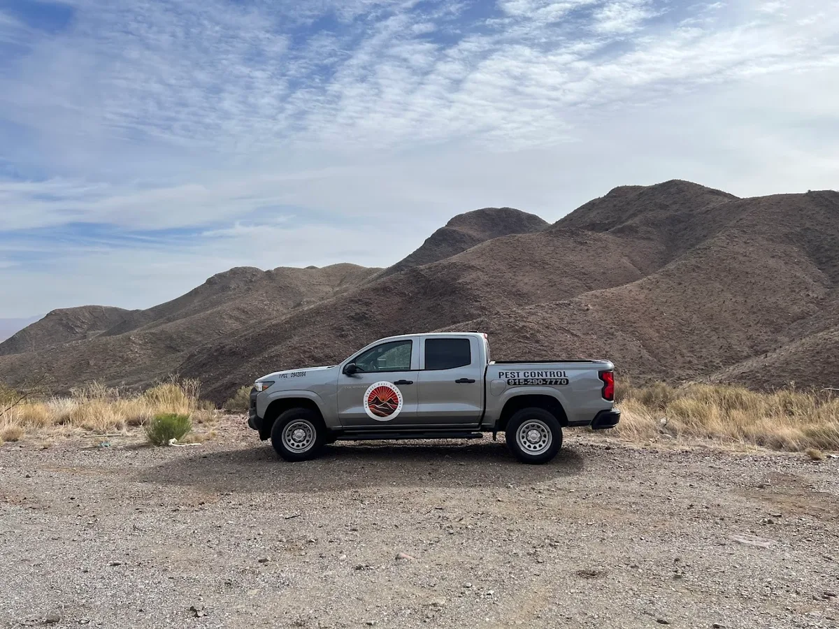 Sun Desert Pest Management — pest control in El Paso, EL PASO County, TX