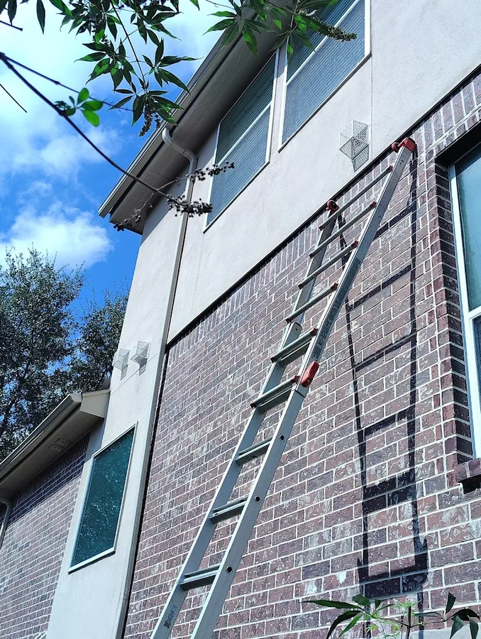 Pest Ninjas in San Antonio, TX — business photo 5