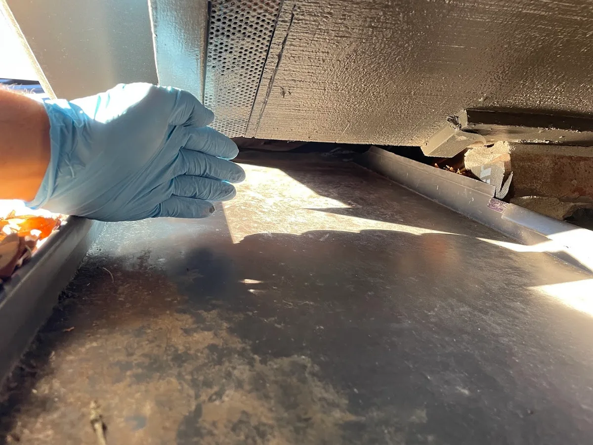 Homeland Wildlife & Pest Control in San Antonio, TX — business photo 4