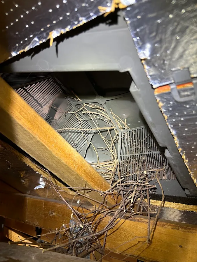 Homeland Wildlife & Pest Control in San Antonio, TX — business photo 6