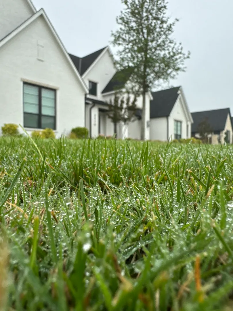 Sureguard Lawn and Pest in Waco, TX — business photo 6