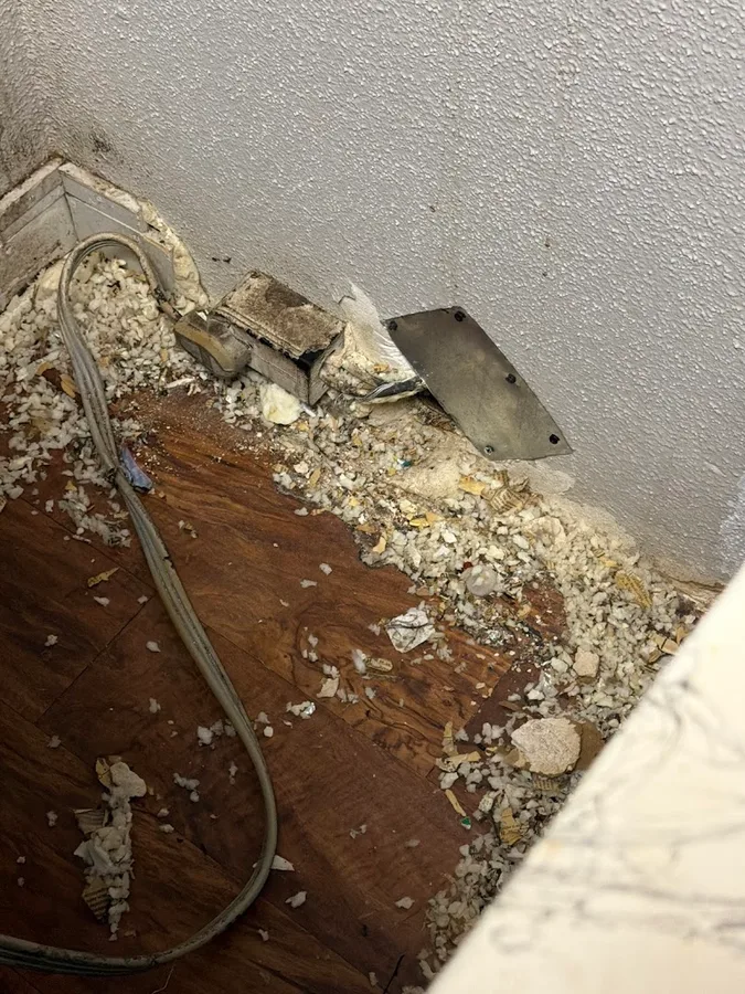 Purge Pest Solution in Houston, TX — business photo 2