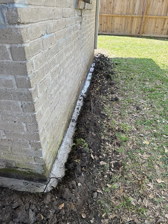 Carroll Pest Solutions LLC in Roman Forest, TX — business photo 5