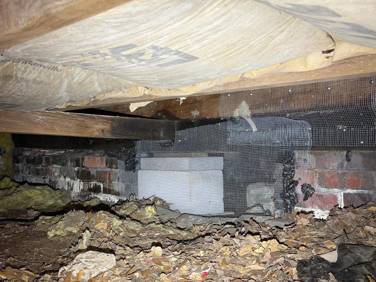 Carroll Pest Solutions LLC in Roman Forest, TX — business photo 6