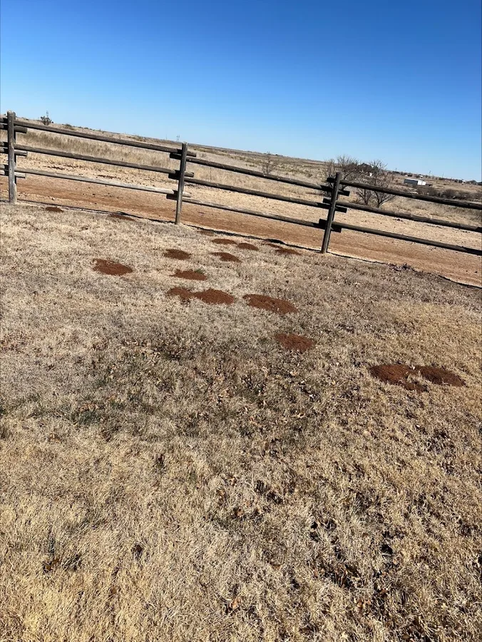South Plains Pest Control in Lubbock, TX — business photo 4
