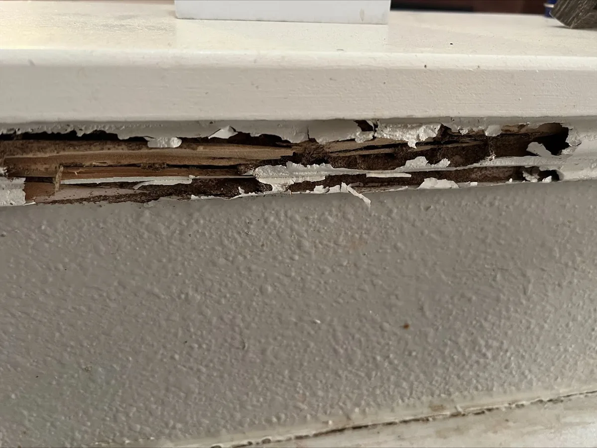 South Plains Pest Control in Lubbock, TX — business photo 5