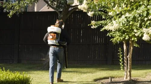 No Contract Pest Solutions - Fort Worth in Fort Worth, TX — business photo 6