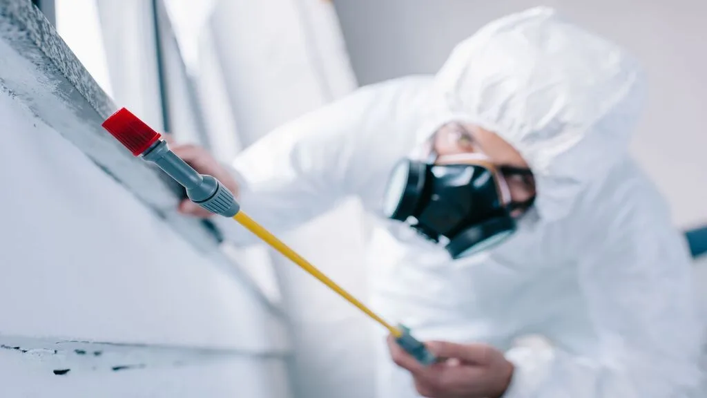 IntelliPEST — pest control in Grapevine, TARRANT County, TX