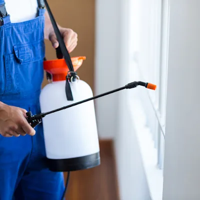 Anytime Pest Elimination Humble in Humble, TX — business photo 5